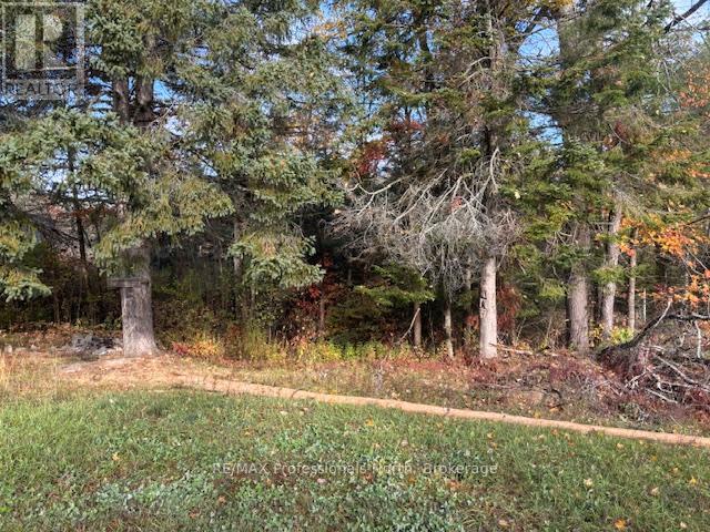 4326 County Road 121 Road, Minden Hills, Ontario  K0M 2A0 - Photo 8 - X12470613