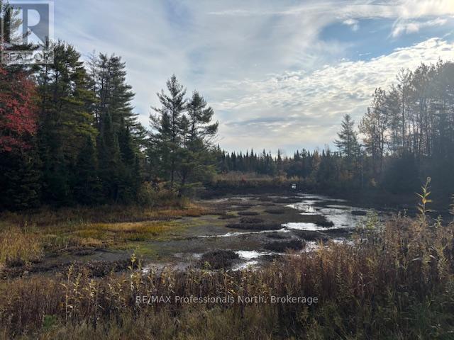 4326 County Road 121 Road, Minden Hills, Ontario  K0M 2A0 - Photo 9 - X12470613