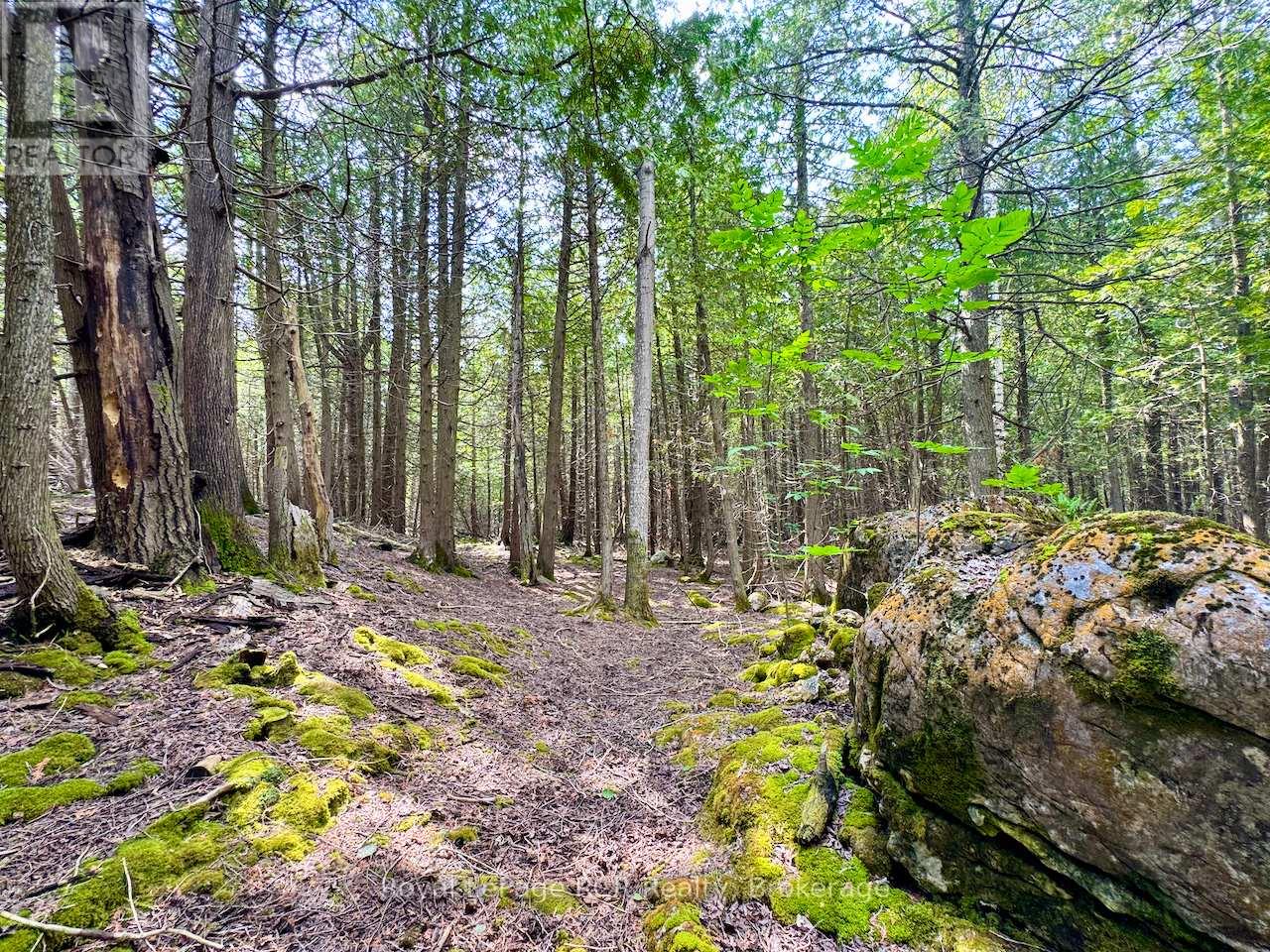 323 East Road, Northern Bruce Peninsula, Ontario  N0H 1W0 - Photo 35 - X12470753