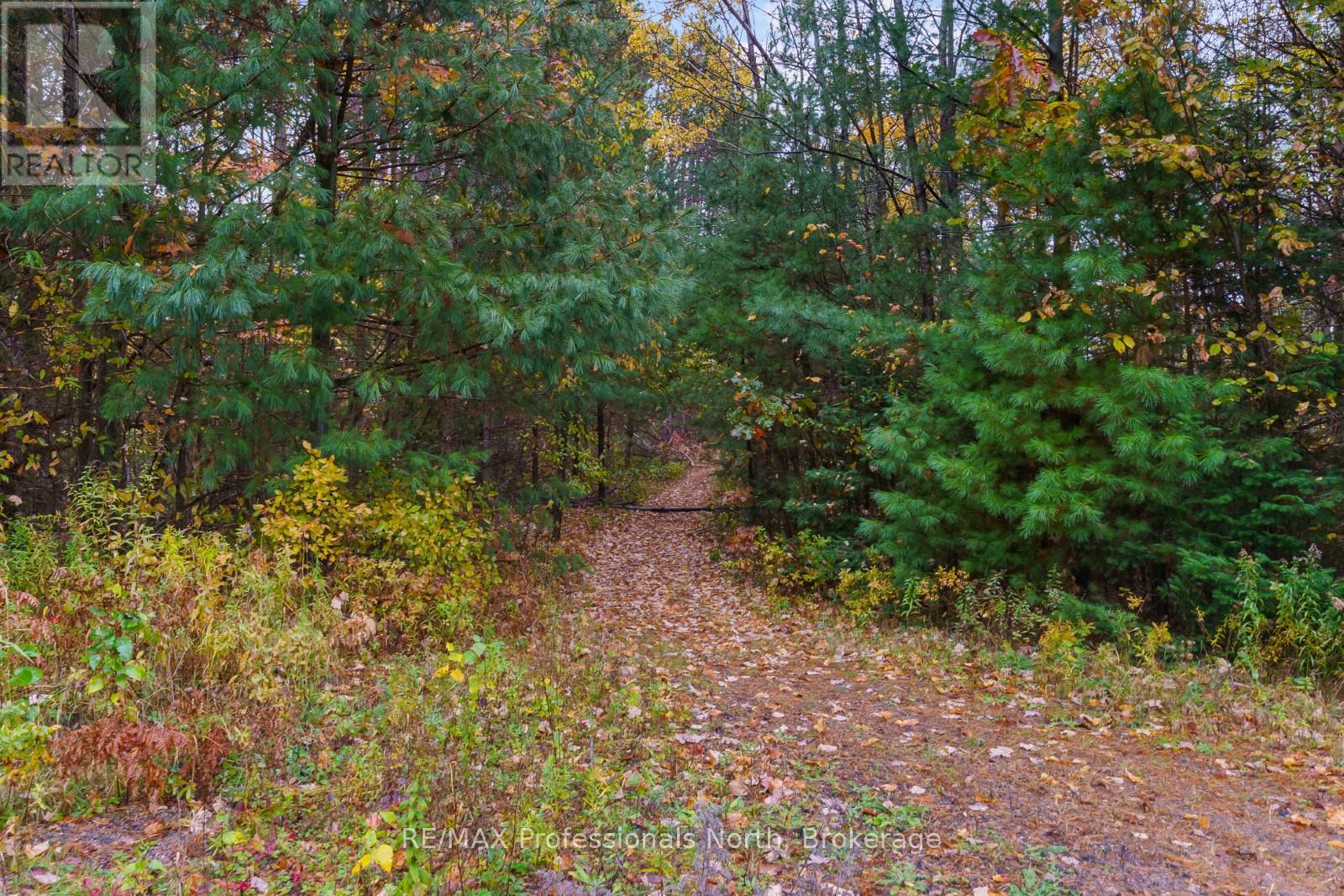 4538 County Road 121, Minden Hills, Ontario  K0M 2A1 - Photo 14 - X12473652