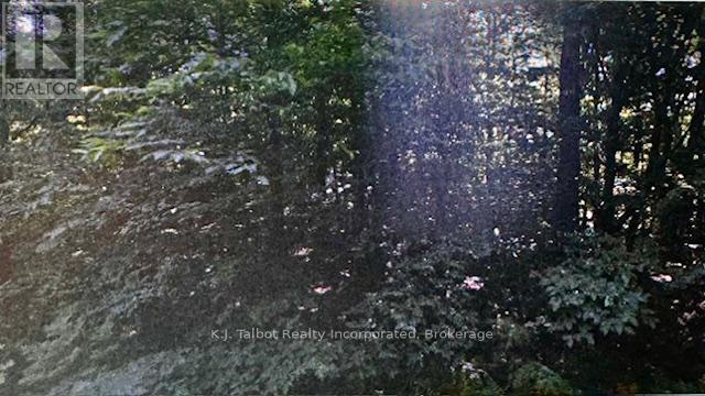 78178 Lavrangue Drive E, Central Huron, Ontario  N0M 1G0 - Photo 10 - X12474396