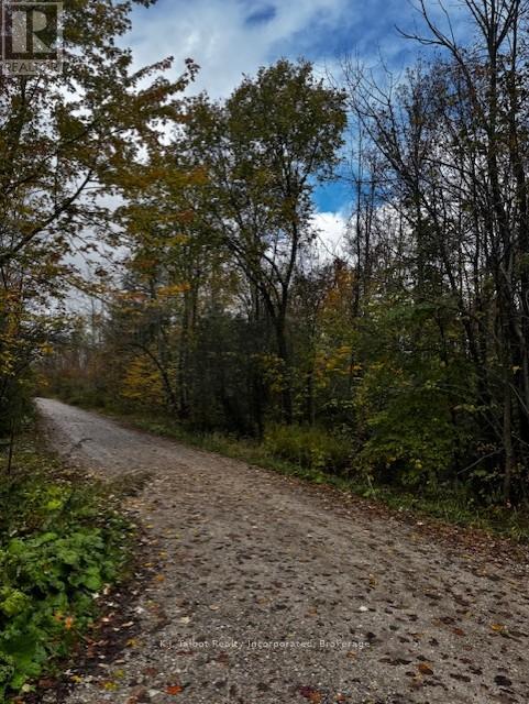 78178 Lavrangue Drive E, Central Huron, Ontario  N0M 1G0 - Photo 5 - X12474396