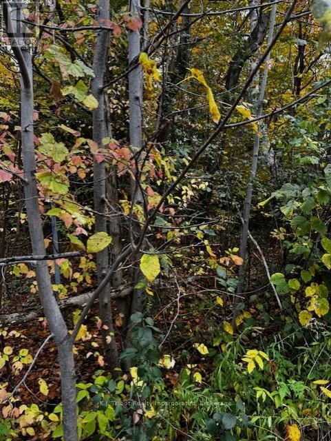 78178 Lavrangue Drive E, Central Huron, Ontario  N0M 1G0 - Photo 7 - X12474396