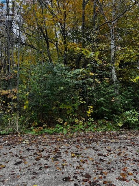 78178 Lavrangue Drive E, Central Huron, Ontario  N0M 1G0 - Photo 9 - X12474396