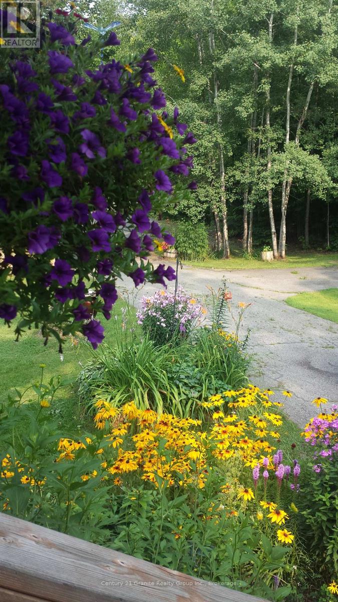 1046 Lutterworth Pines Road, Minden Hills, Ontario  K0M 2K0 - Photo 13 - X12475906