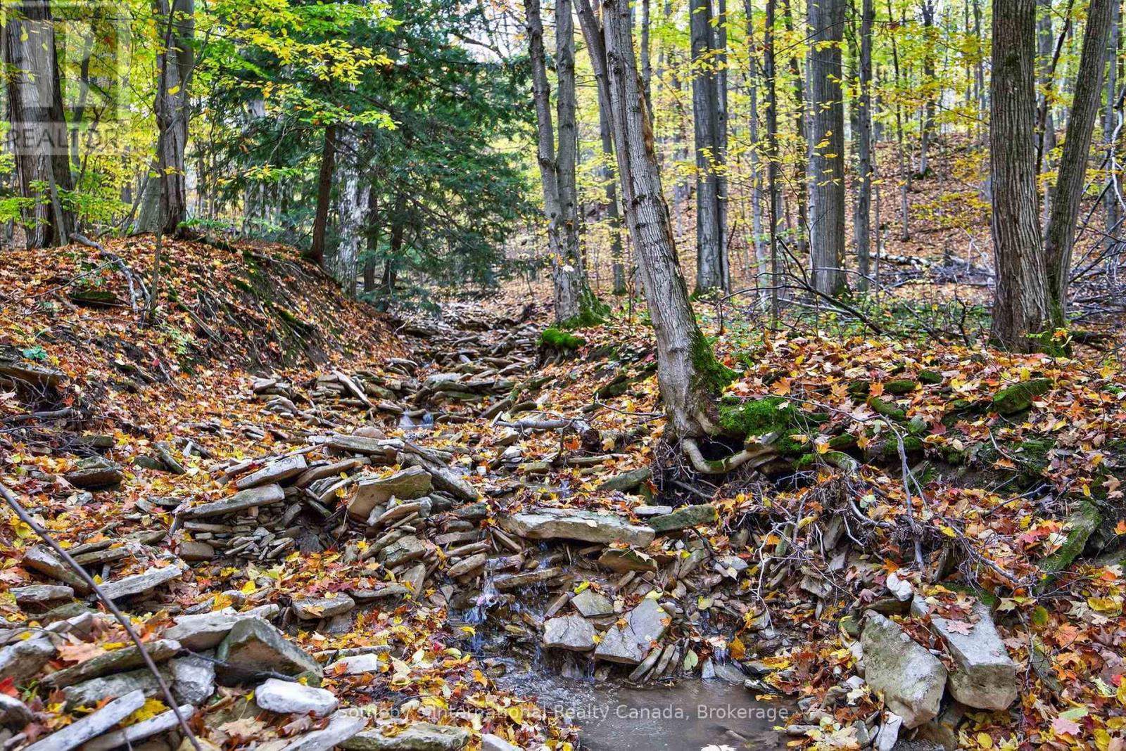 112 Arrowhead Crescent, Blue Mountains, Ontario  L9Y 0R9 - Photo 46 - X12484560