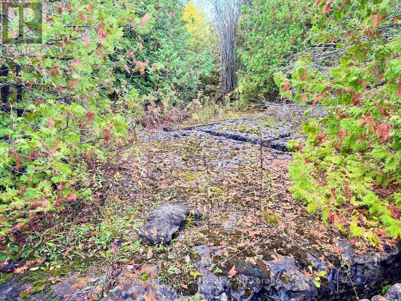 4887 Hwy 6 Highway, Northern Bruce Peninsula, Ontario  N0H 1Z0 - Photo 18 - X12520098