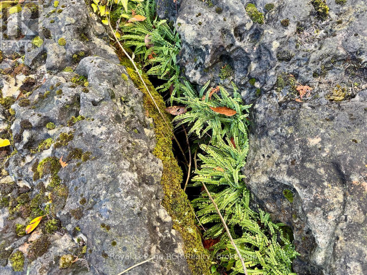 4887 Hwy 6 Highway, Northern Bruce Peninsula, Ontario  N0H 1Z0 - Photo 19 - X12520098