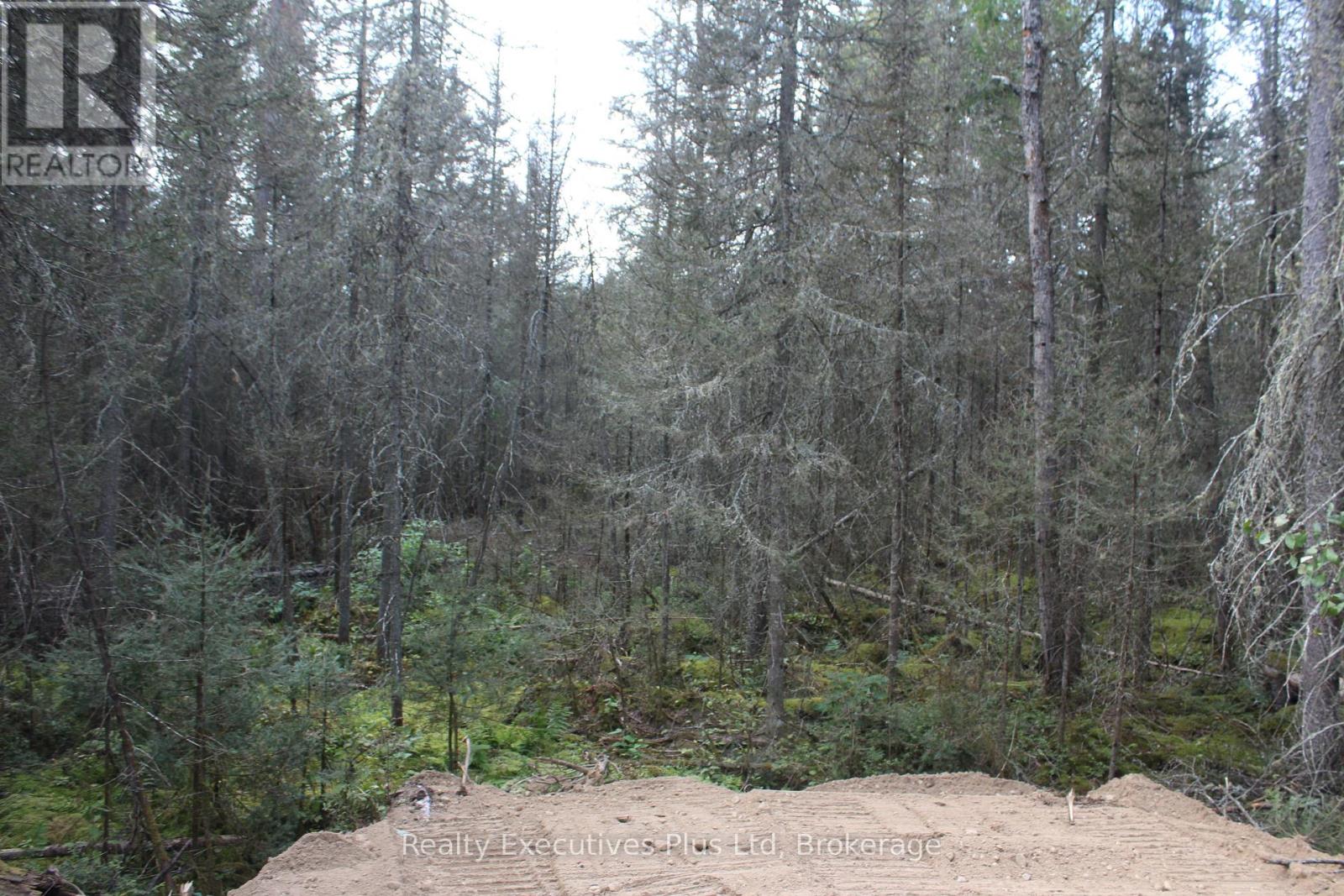 148 Cottrell Road, Strong, Ontario  P0A 1Z0 - Photo 10 - X12535756