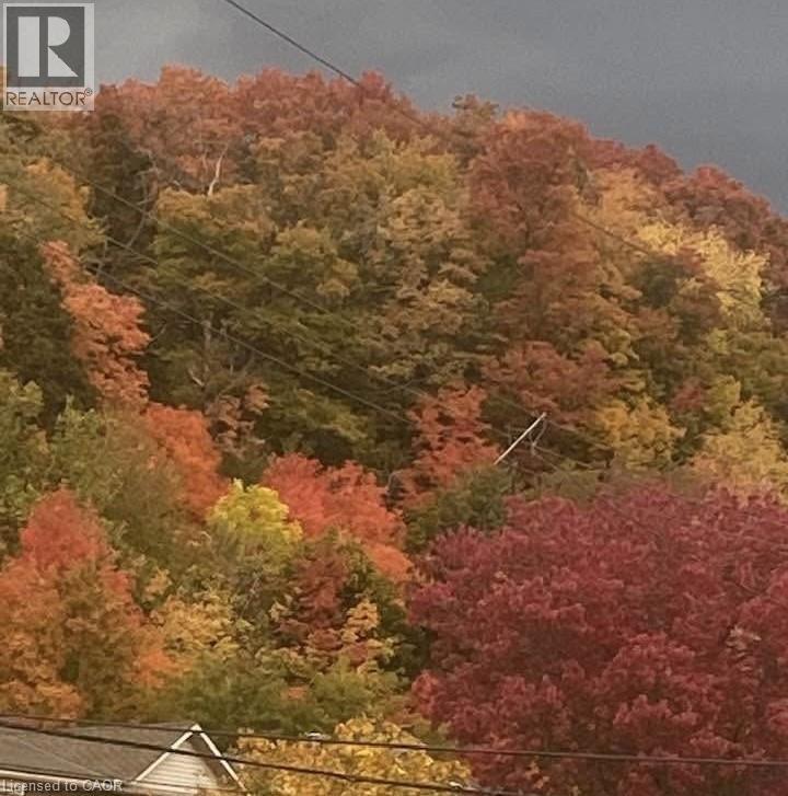 199 Kimberly Drive, Hamilton, Ontario  L8K 4L2 - Photo 46 - 40787861