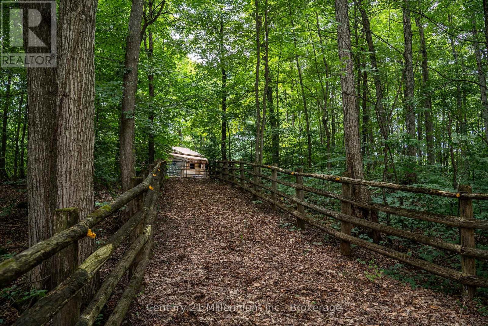 415198 Baseline Road, West Grey, Ontario  N0G 1R0 - Photo 18 - X12540636