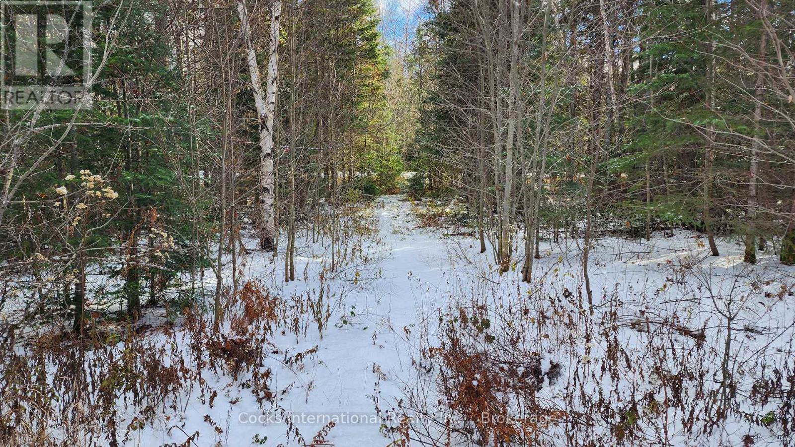 44 Expressway Road, Perry, Ontario  P0A 1J0 - Photo 24 - X12548048