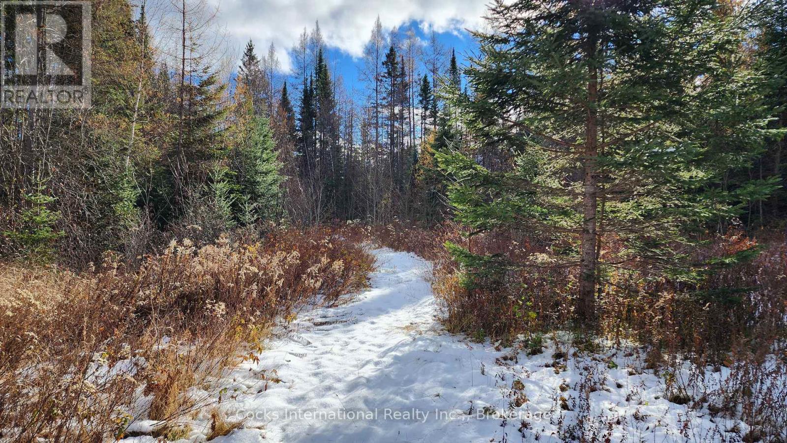 44 Expressway Road, Perry, Ontario  P0A 1J0 - Photo 29 - X12548048