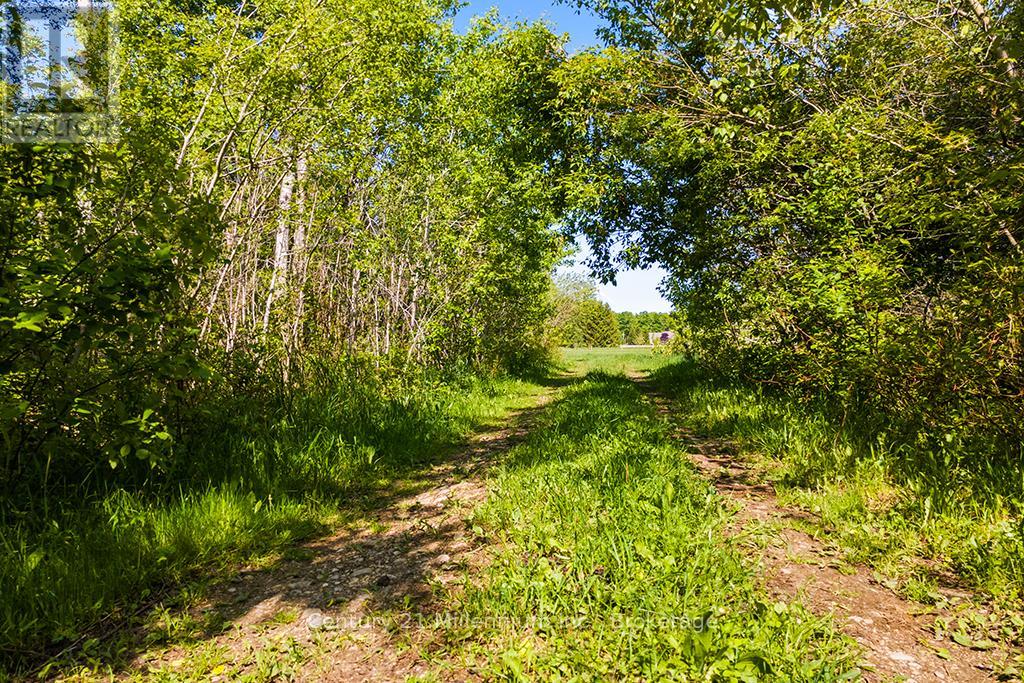 375533 6th Line, Amaranth, Ontario  L9V 1K8 - Photo 15 - X12551434