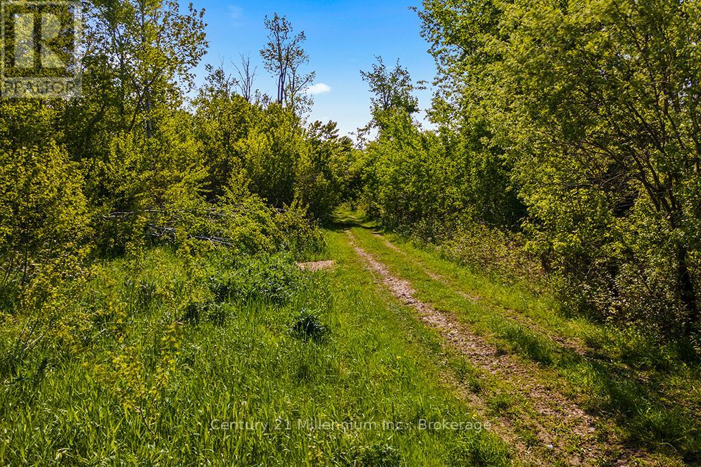 375533 6th Line, Amaranth, Ontario  L9V 1K8 - Photo 17 - X12551434