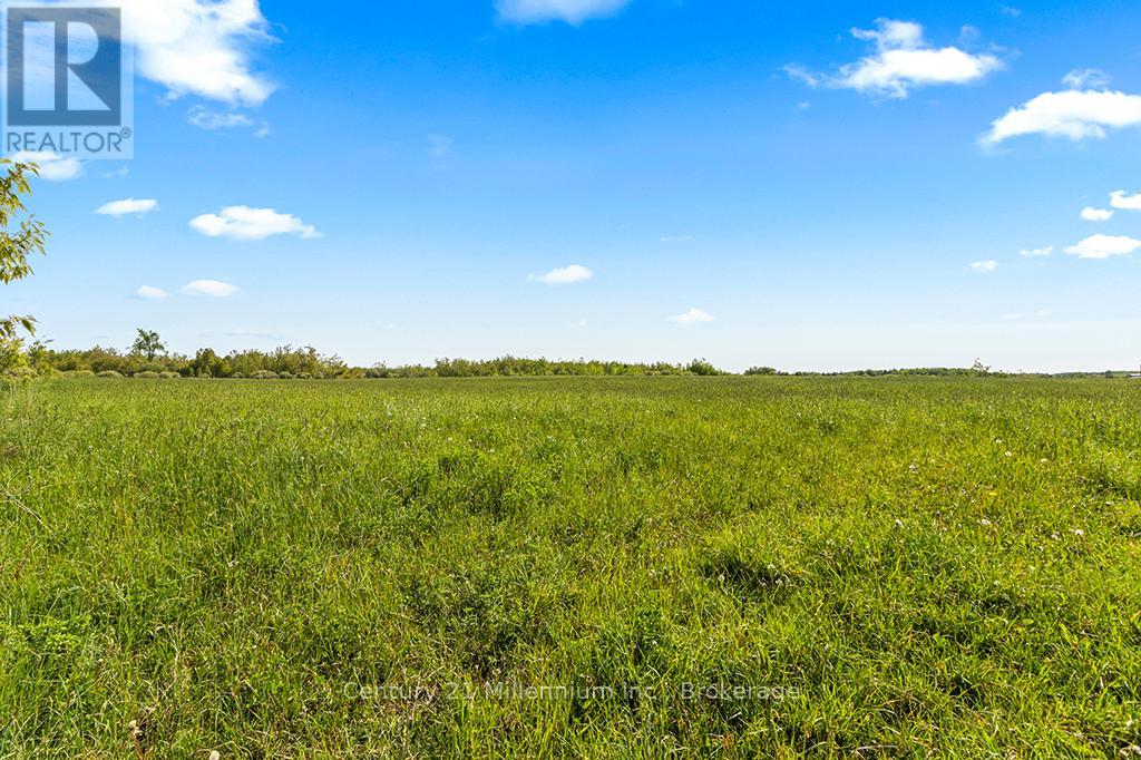 375533 6th Line, Amaranth, Ontario  L9V 1K8 - Photo 23 - X12551434