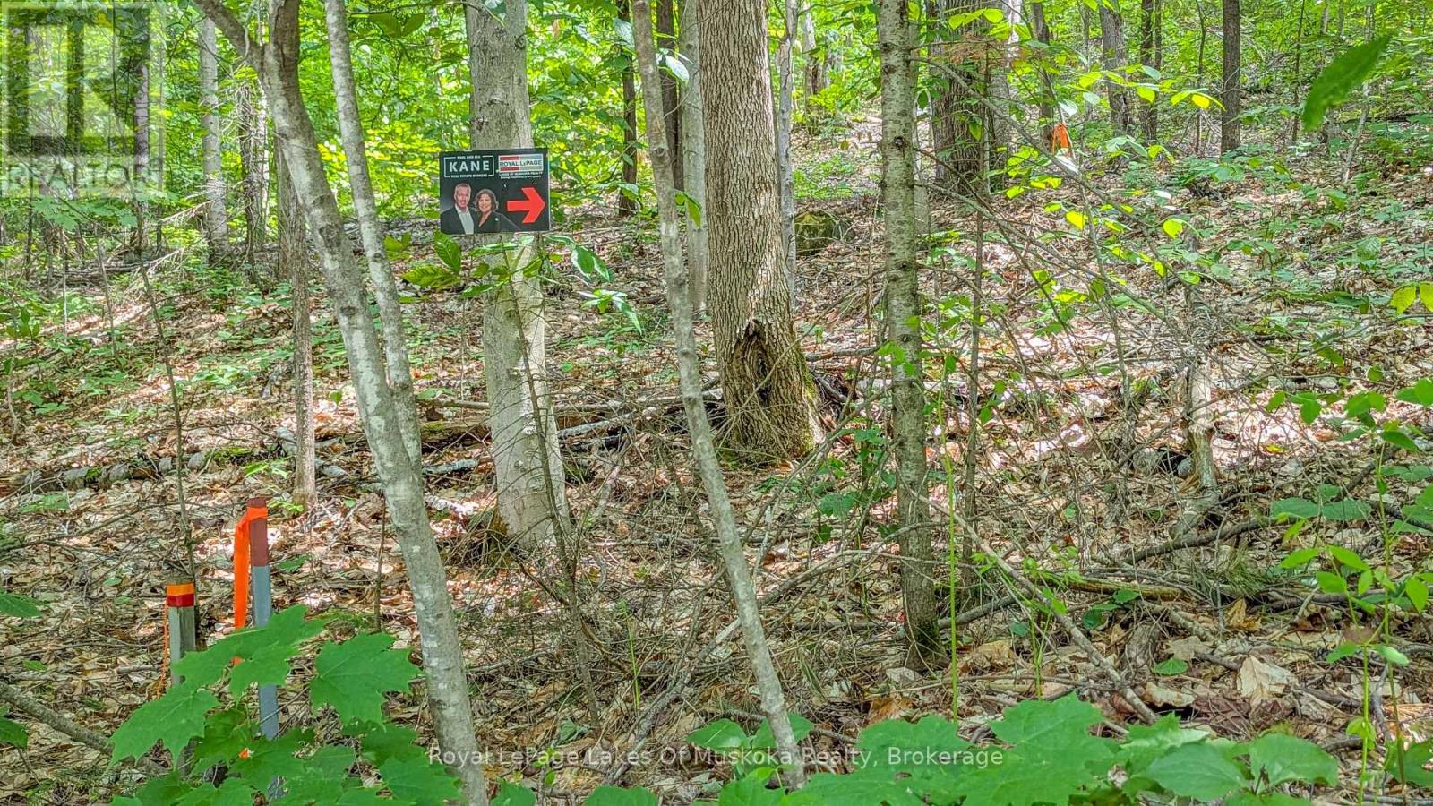 0 ROSSEAU LAKE RD 1, Muskoka Lakes, Ontario