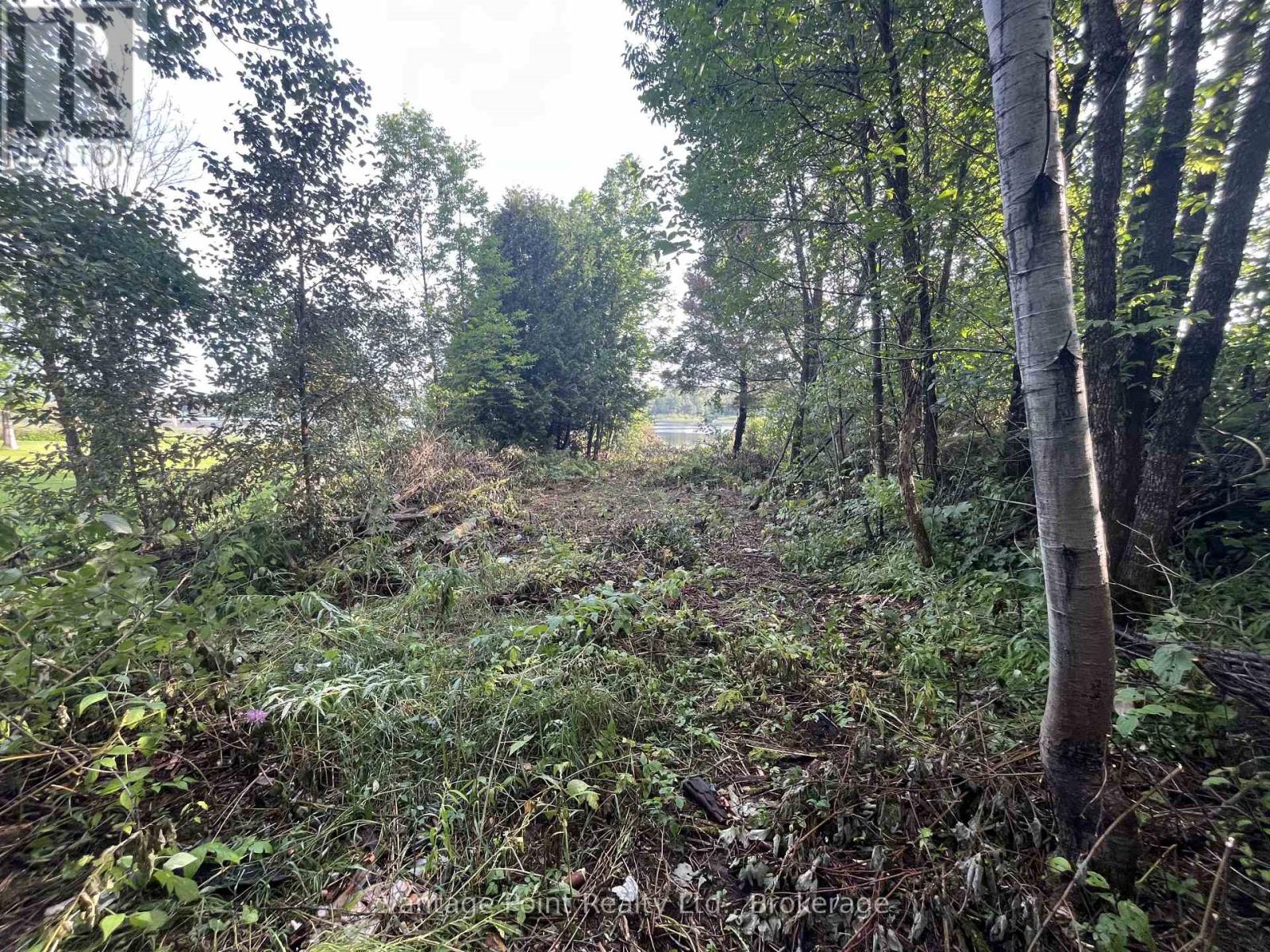 33 Third Street E, Timiskaming, Ontario  P0J 1G0 - Photo 4 - T12671952