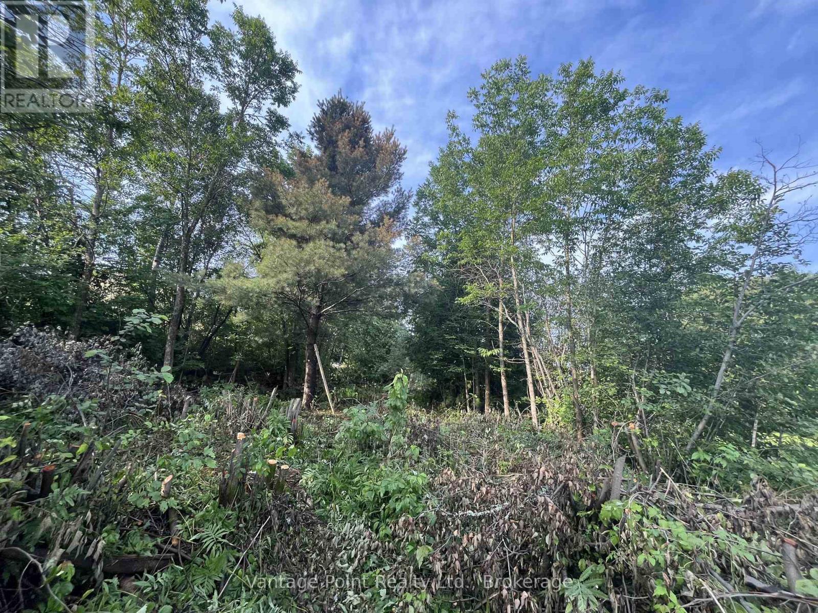 33 Third Street E, Timiskaming, Ontario  P0J 1G0 - Photo 7 - T12671952