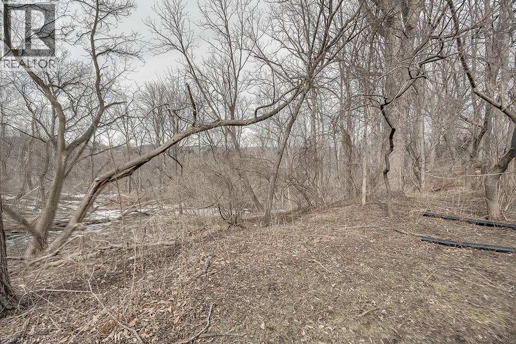 50 Sanders Boulevard, Hamilton, Ontario  L8S 3J6 - Photo 32 - 40802767