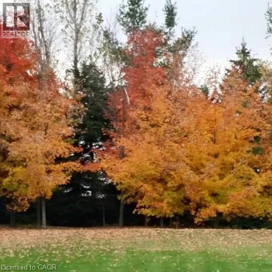 2264 Britannia Road, Burlington, Ontario  L7P 0G2 - Photo 45 - 40800438