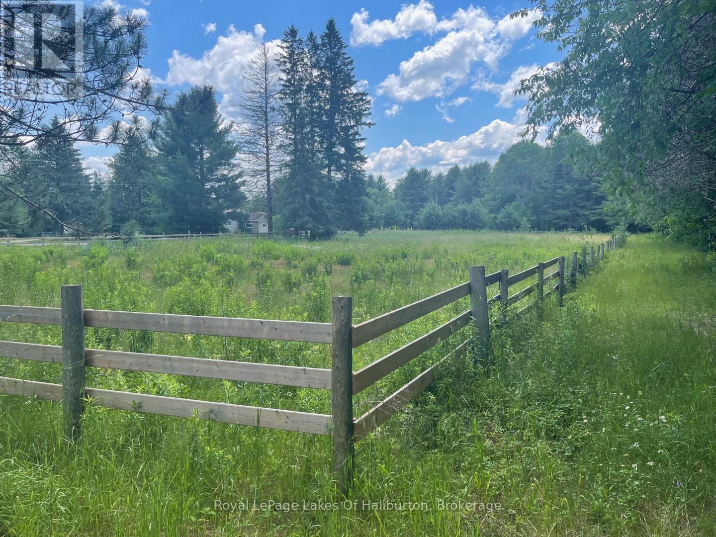 1036 Privet Drive, Minden Hills, Ontario  K0M 2A1 - Photo 10 - X12761172