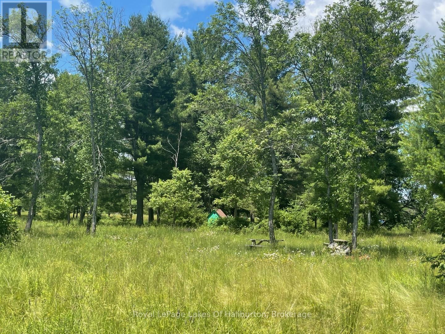 1036 Privet Drive, Minden Hills, Ontario  K0M 2A1 - Photo 12 - X12761172