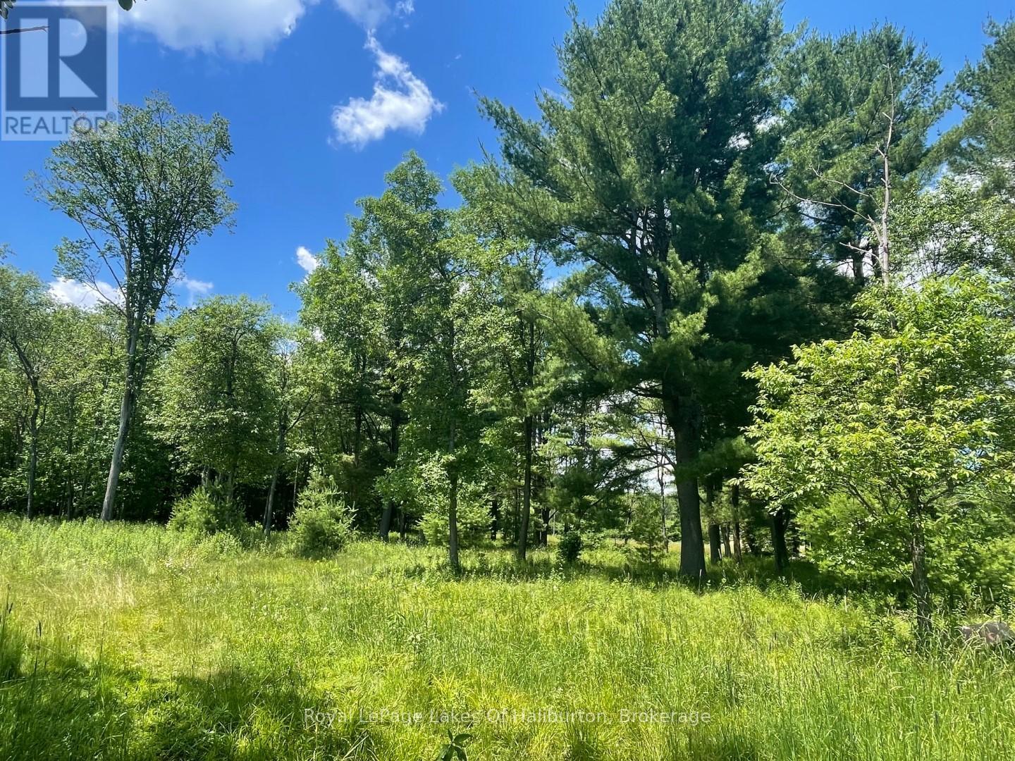 1036 Privet Drive, Minden Hills, Ontario  K0M 2A1 - Photo 13 - X12761172