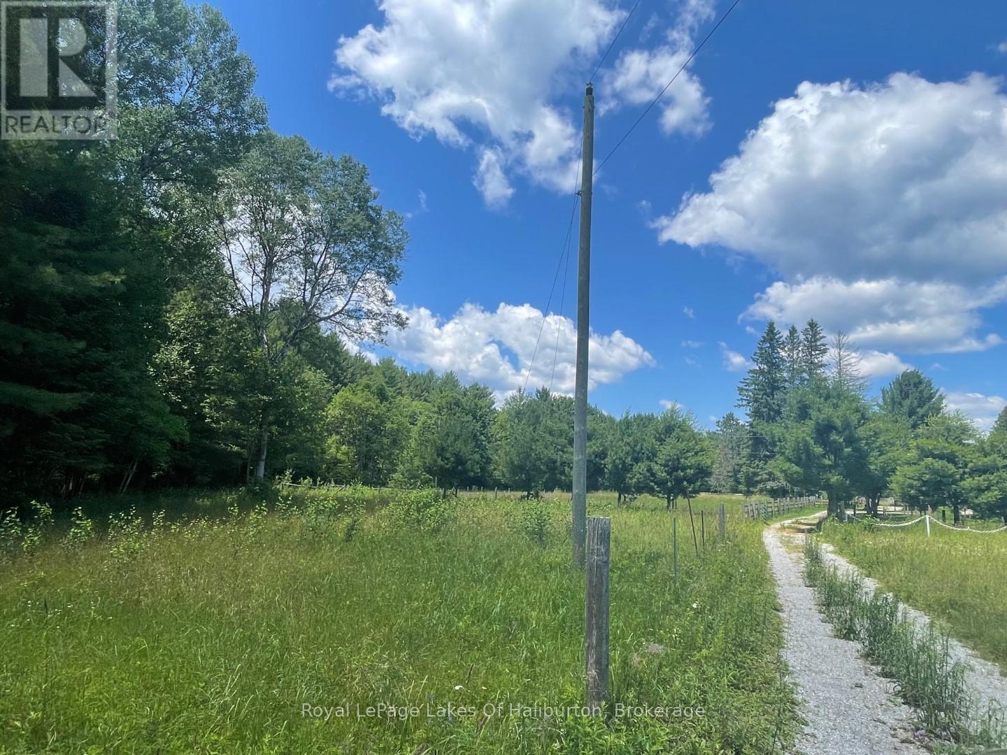 1036 Privet Drive, Minden Hills, Ontario  K0M 2A1 - Photo 15 - X12761172