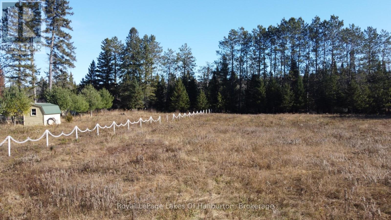 1036 Privet Drive, Minden Hills, Ontario  K0M 2A1 - Photo 16 - X12761172