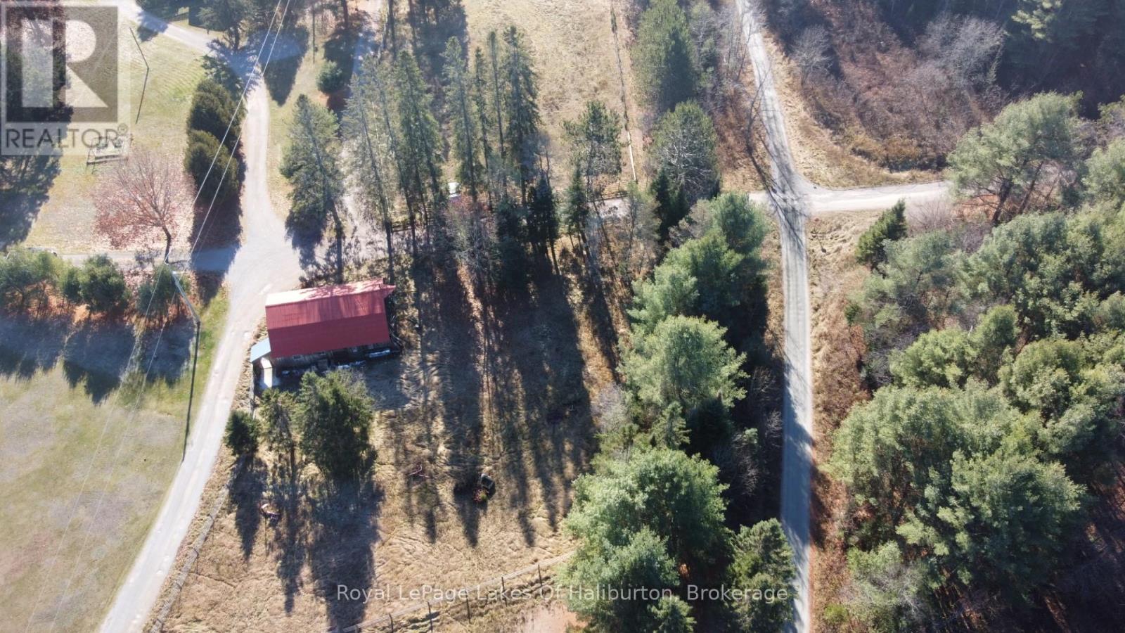 1036 Privet Drive, Minden Hills, Ontario  K0M 2A1 - Photo 19 - X12761172