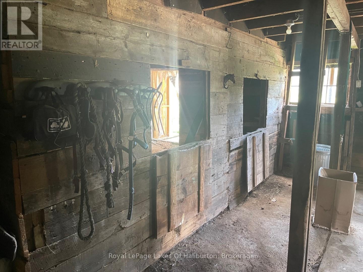 1036 Privet Drive, Minden Hills, Ontario  K0M 2A1 - Photo 21 - X12761172