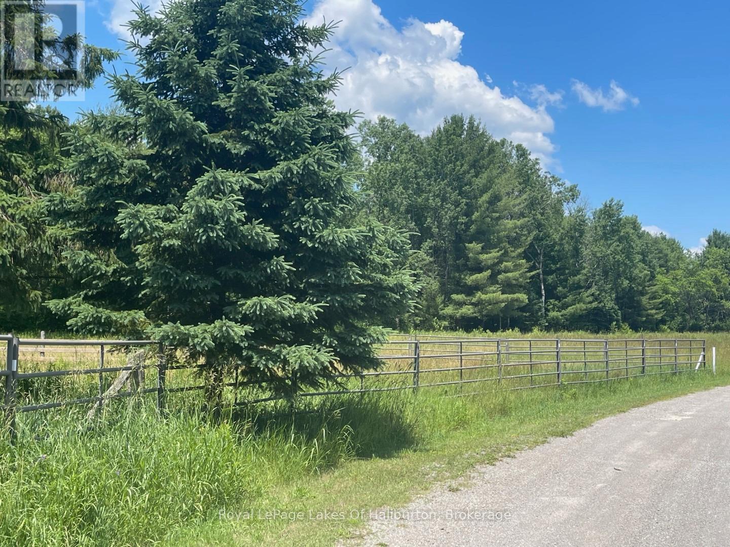 1036 Privet Drive, Minden Hills, Ontario  K0M 2A1 - Photo 24 - X12761172