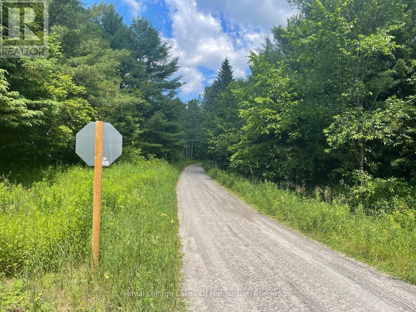 1036 Privet Drive, Minden Hills, Ontario  K0M 2A1 - Photo 26 - X12761172