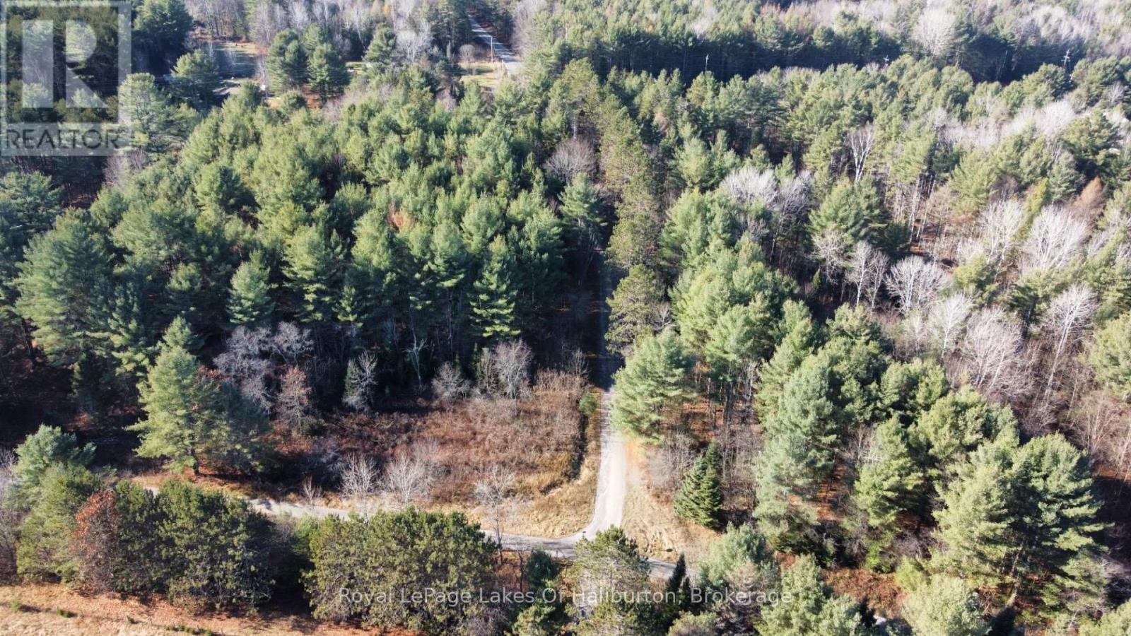 1036 Privet Drive, Minden Hills, Ontario  K0M 2A1 - Photo 27 - X12761172