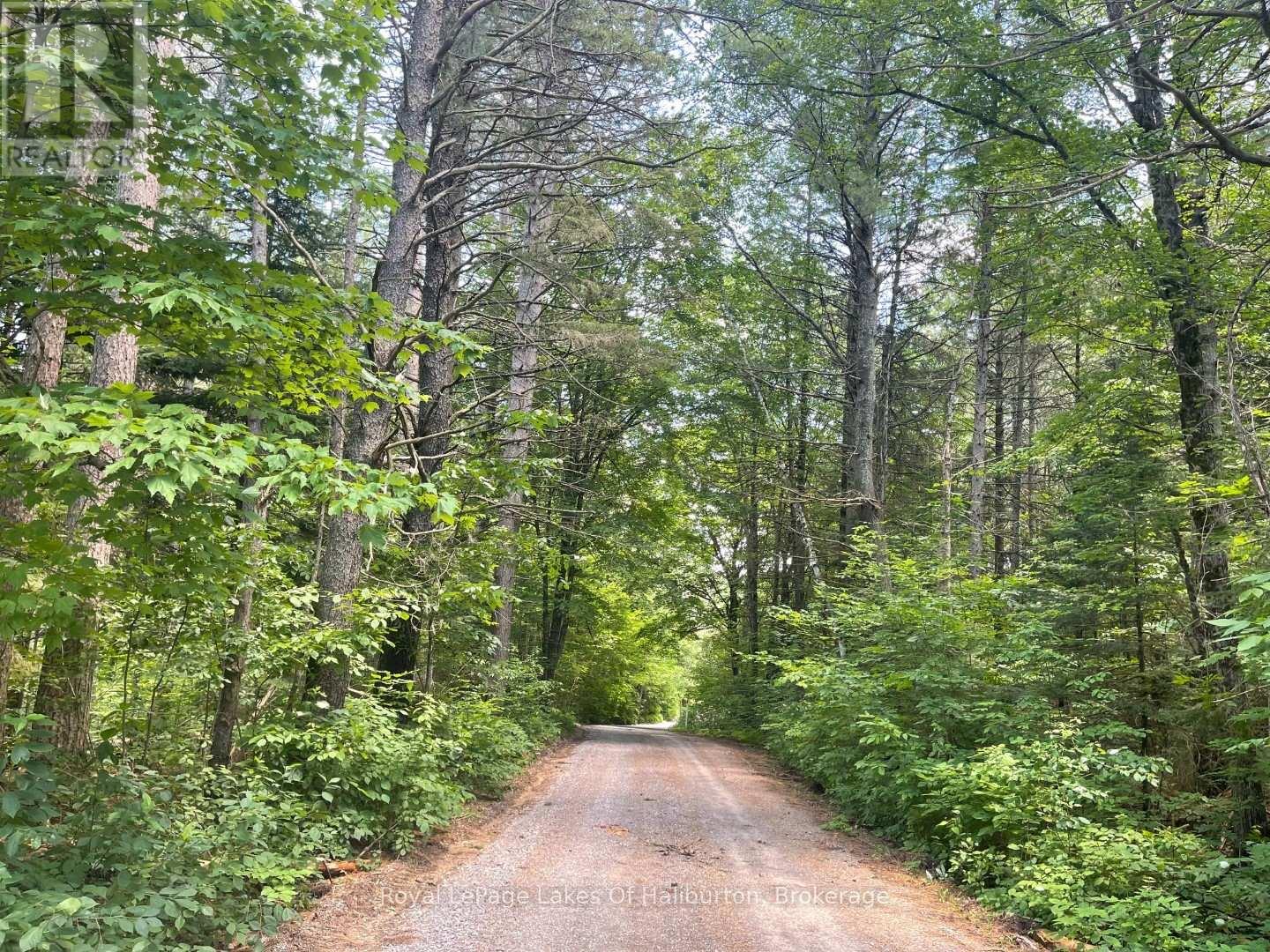 1036 Privet Drive, Minden Hills, Ontario  K0M 2A1 - Photo 4 - X12761172