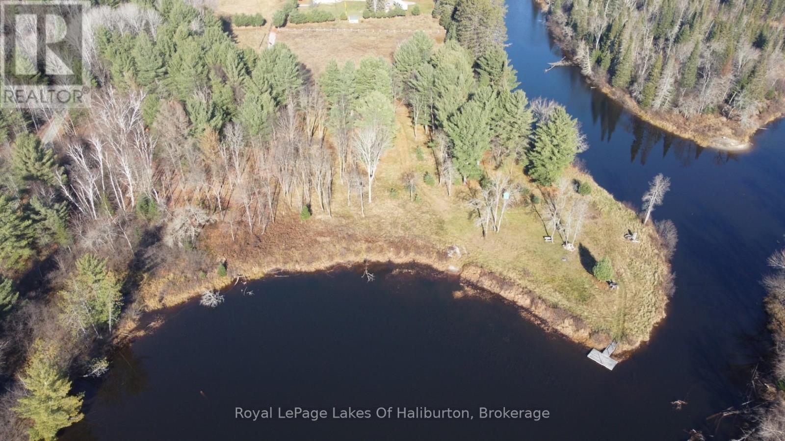 1036 Privet Drive, Minden Hills, Ontario  K0M 2A1 - Photo 5 - X12761172