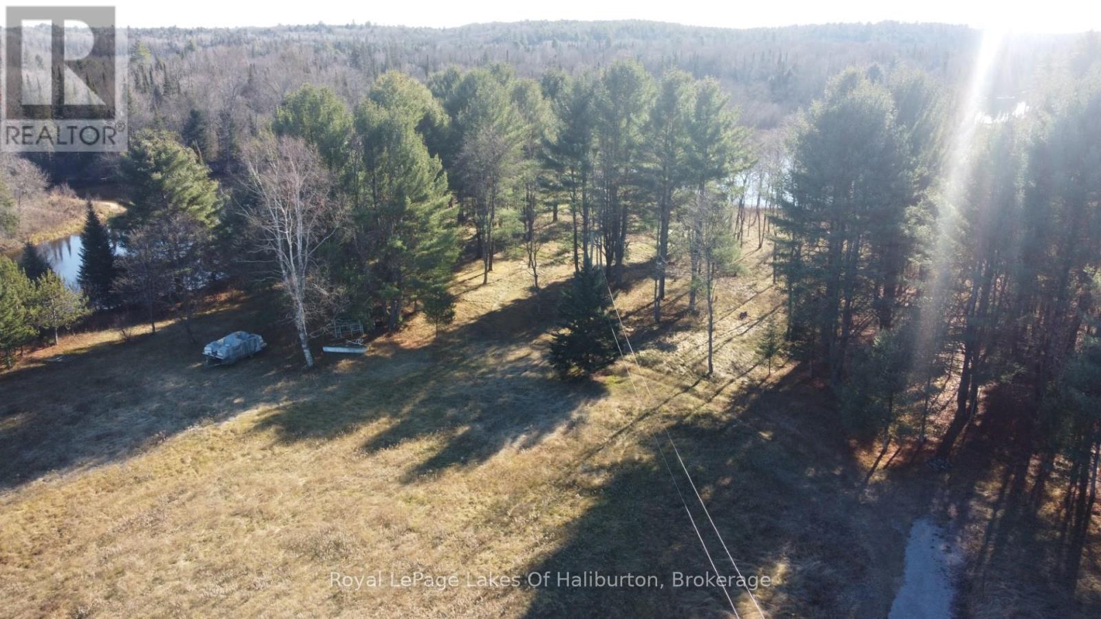 1036 Privet Drive, Minden Hills, Ontario  K0M 2A1 - Photo 6 - X12761172