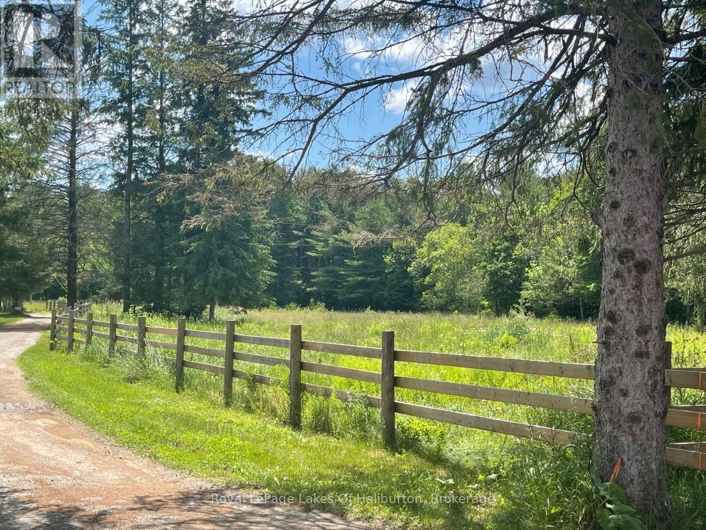 1036 Privet Drive, Minden Hills, Ontario  K0M 2A1 - Photo 7 - X12761172