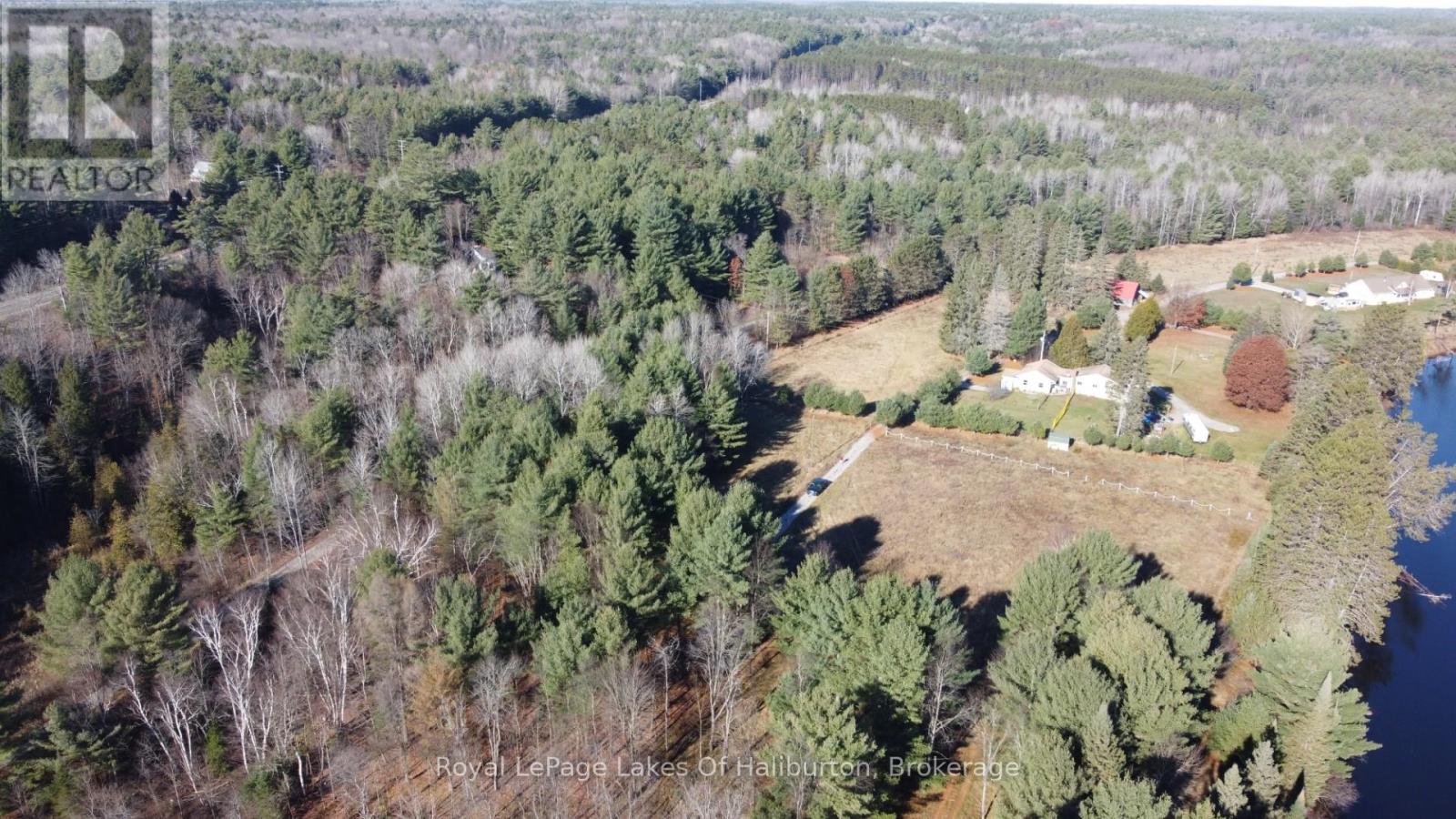 1036 Privet Drive, Minden Hills, Ontario  K0M 2A1 - Photo 8 - X12761172