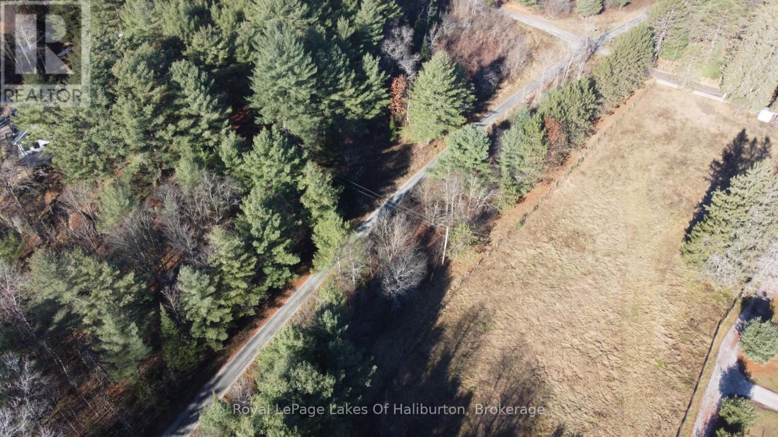 1036 Privet Drive, Minden Hills, Ontario  K0M 2A1 - Photo 9 - X12761172