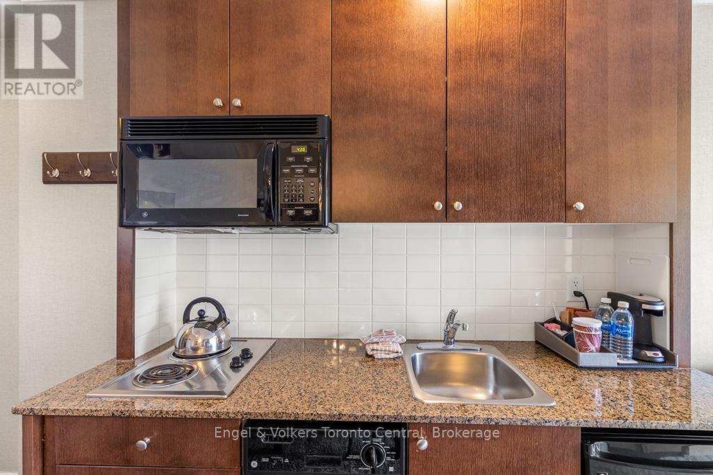 377 - 220 Gord Canning Drive, Blue Mountains, Ontario  L9Y 0K9 - Photo 22 - X12761288