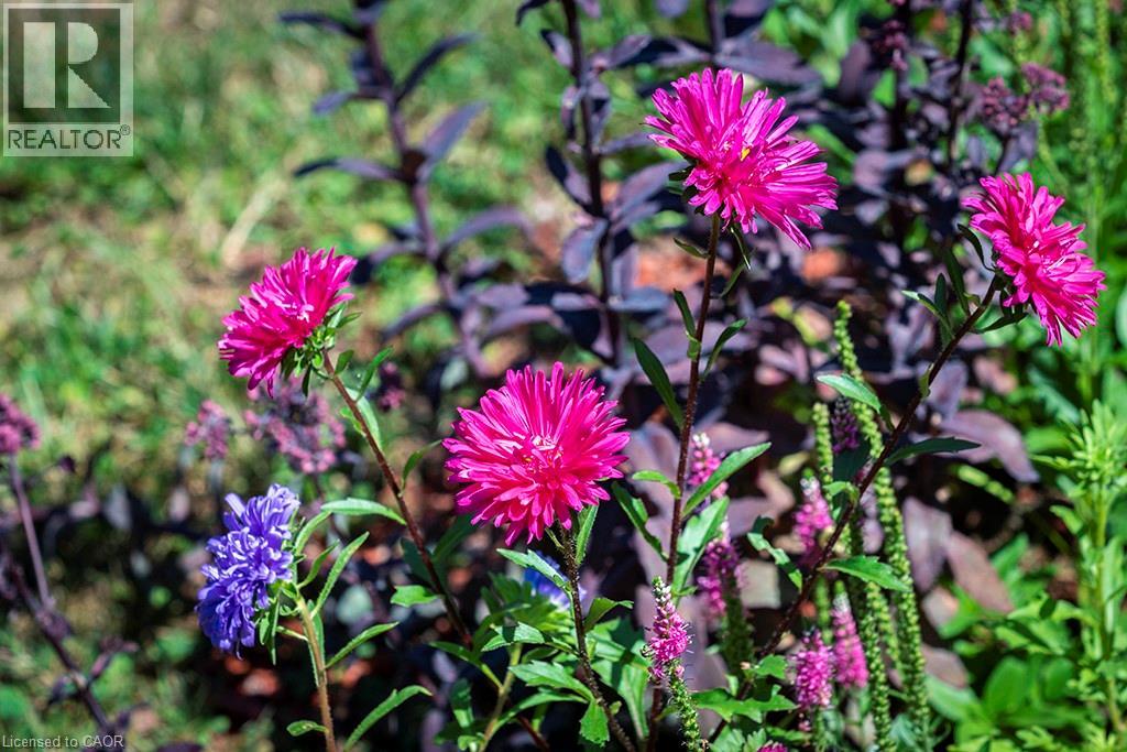 144 Canterbury Street, Ingersoll, Ontario  N5C 1C8 - Photo 44 - 40799080