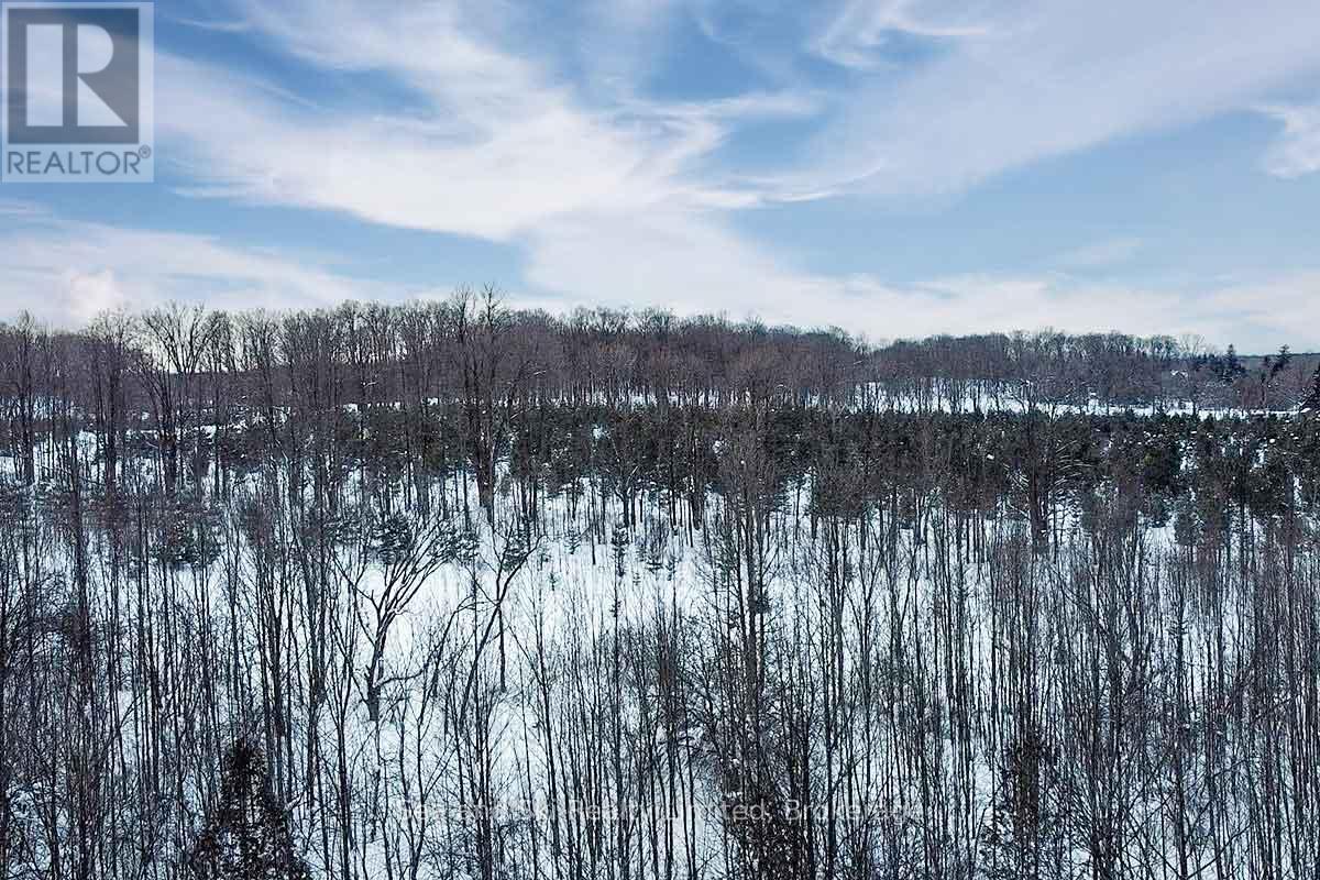 180 Bowles Bluff Road, Grey Highlands, Ontario  N0C 1H0 - Photo 11 - X12769362