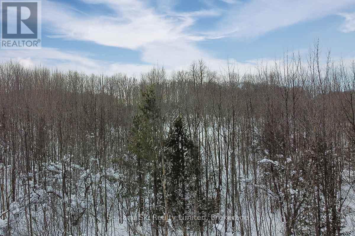 180 Bowles Bluff Road, Grey Highlands, Ontario  N0C 1H0 - Photo 12 - X12769362