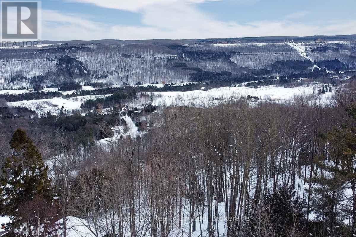 180 Bowles Bluff Road, Grey Highlands, Ontario  N0C 1H0 - Photo 4 - X12769362