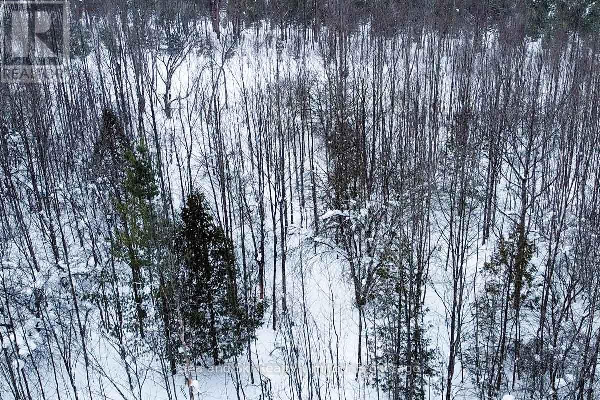 180 Bowles Bluff Road, Grey Highlands, Ontario  N0C 1H0 - Photo 6 - X12769362