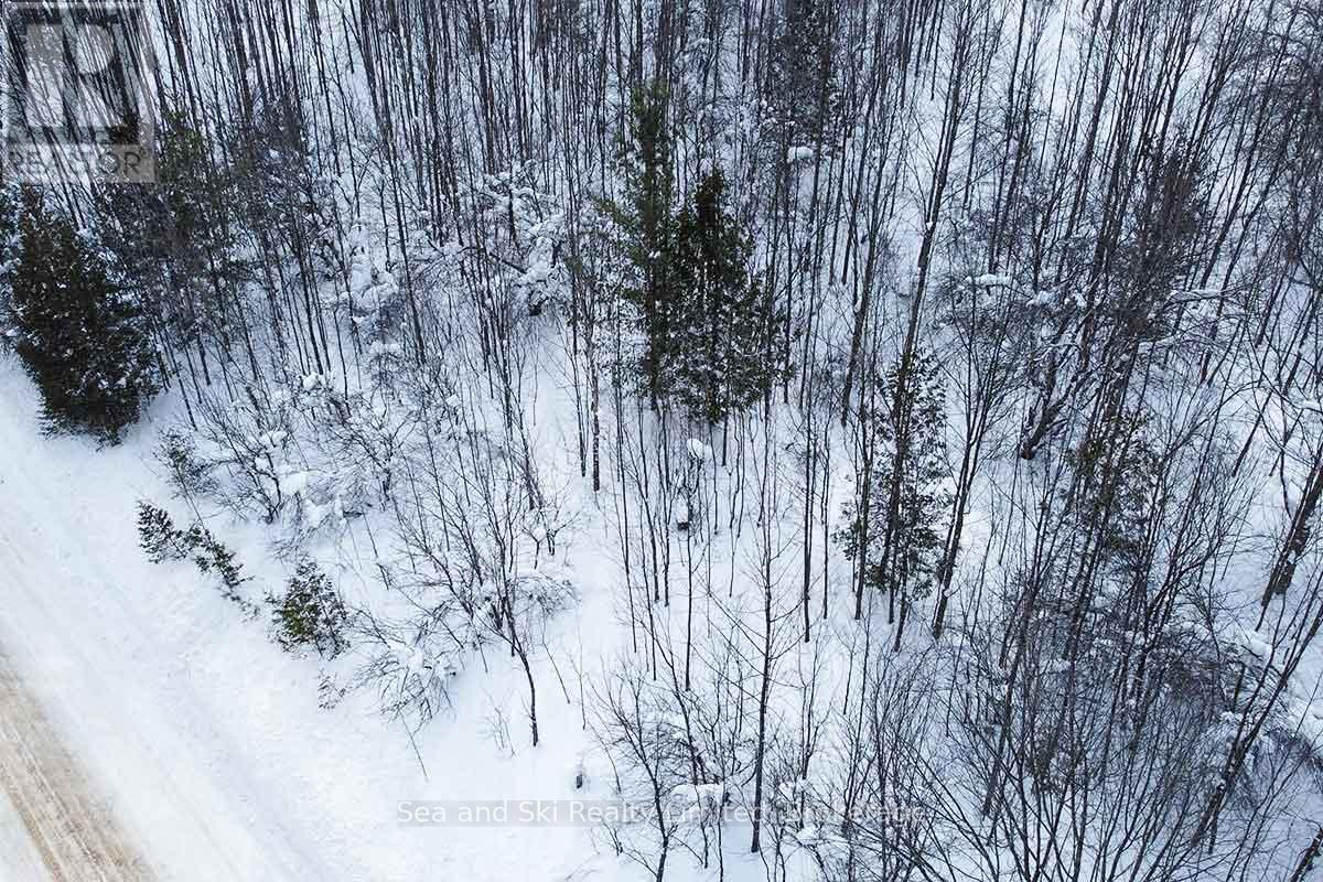 180 Bowles Bluff Road, Grey Highlands, Ontario  N0C 1H0 - Photo 9 - X12769362