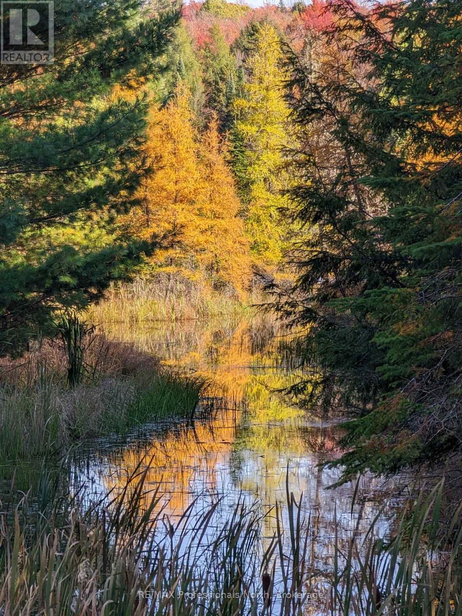 2315 Aspdin Road, Huntsville, Ontario  P0B 1M0 - Photo 34 - X12770468