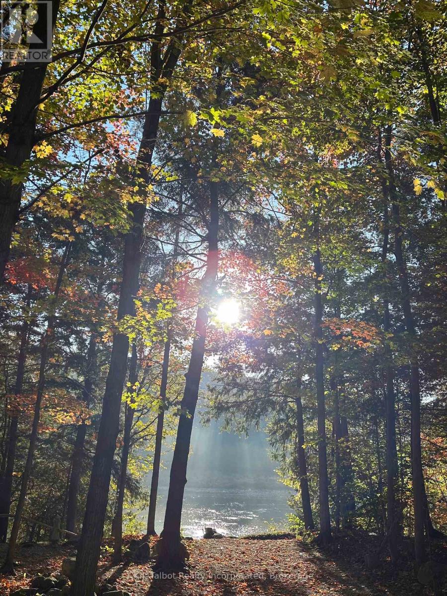 80602 Benmiller Line, Central Huron, Ontario  N0M 1L0 - Photo 39 - X12781116